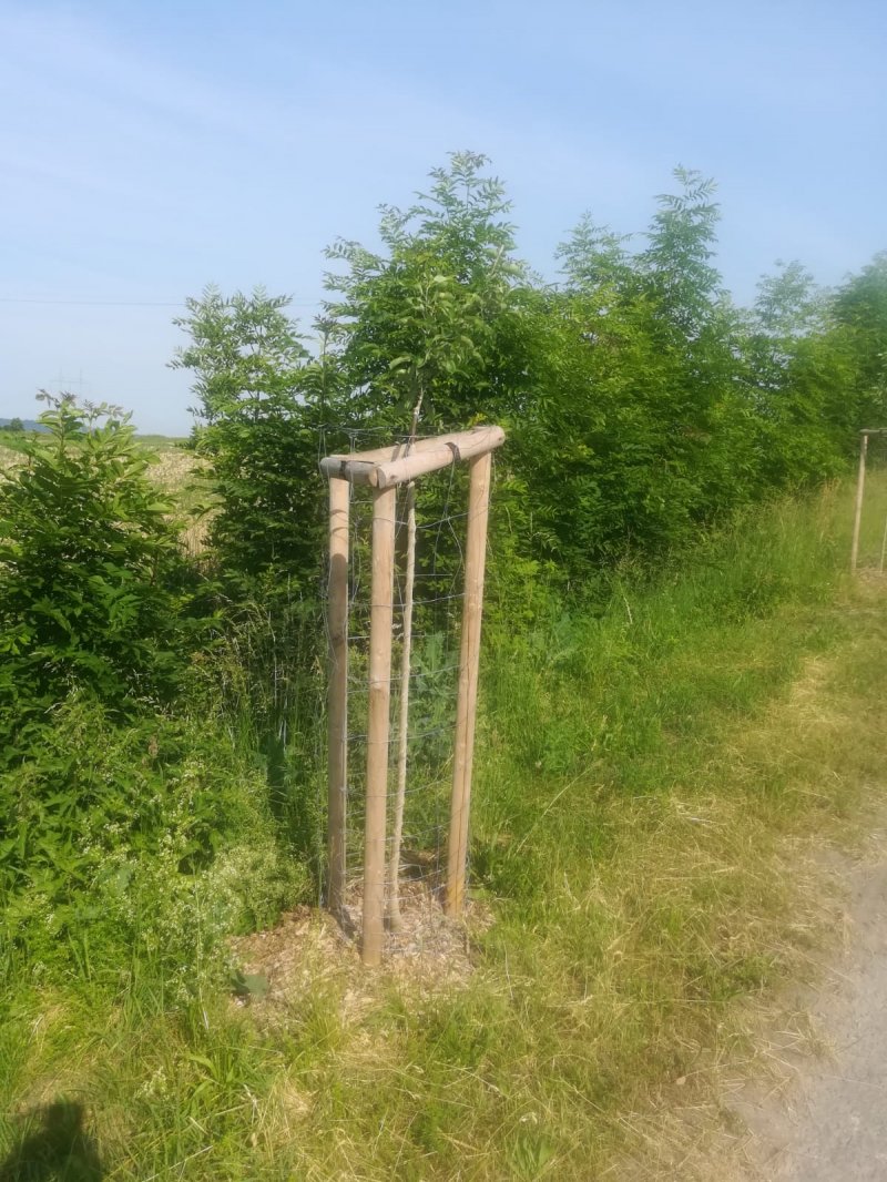 „Výsadba interakčních prvků IP1 a IP5 v k.ú. Merklovice“