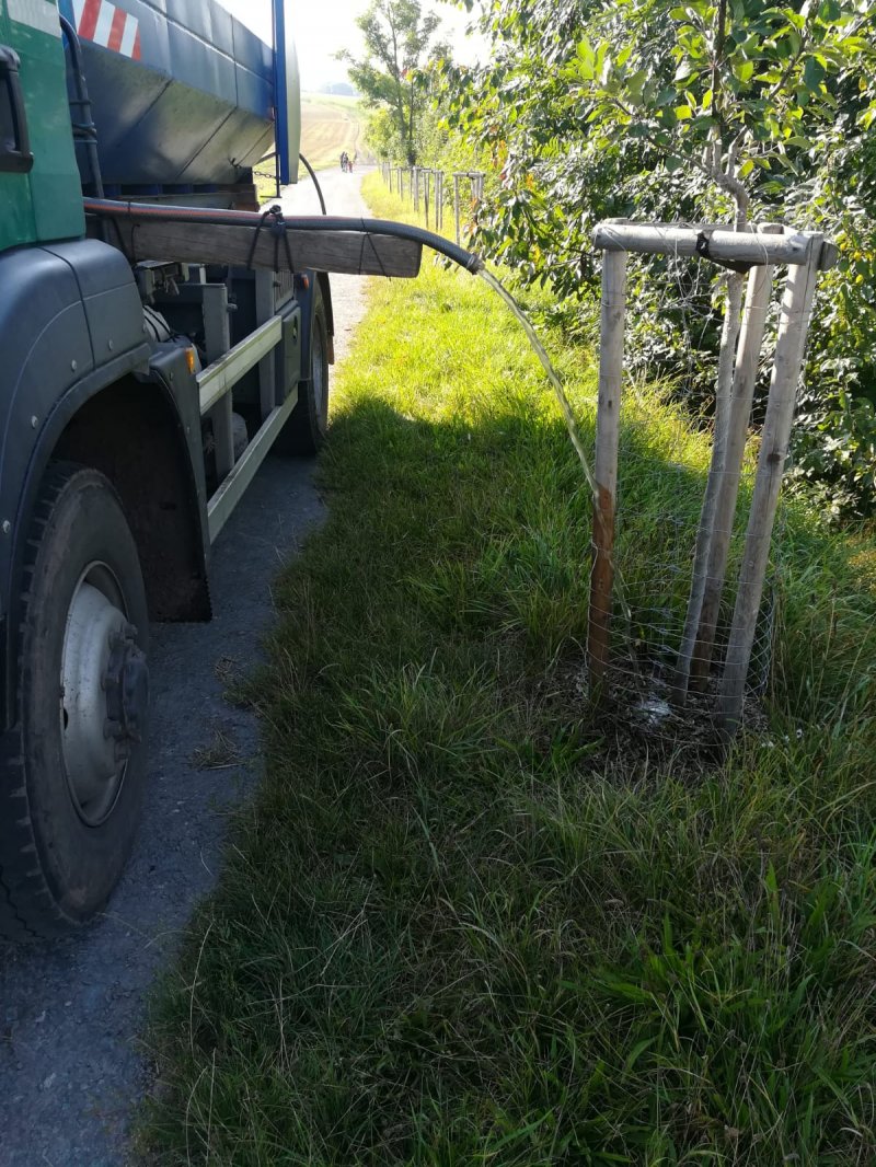 „Výsadba interakčních prvků IP1 a IP5 v k.ú. Merklovice“