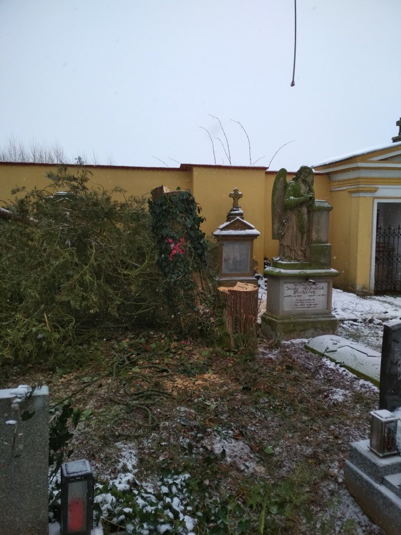 „Odstranění vegetačních prvků – hřbitov Josefov“