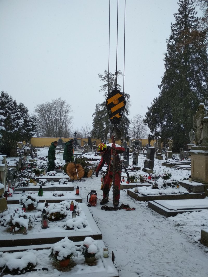 „Odstranění vegetačních prvků – hřbitov Josefov“