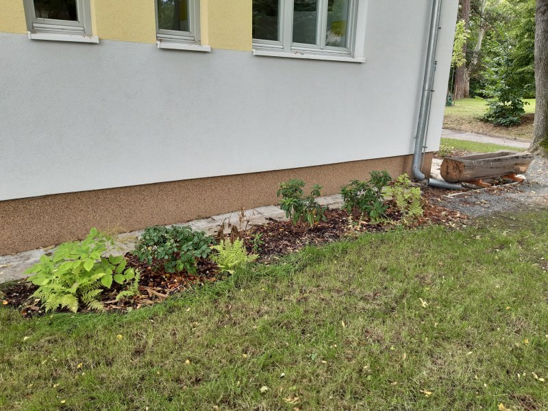 „Školní zahrada, Český Brod“