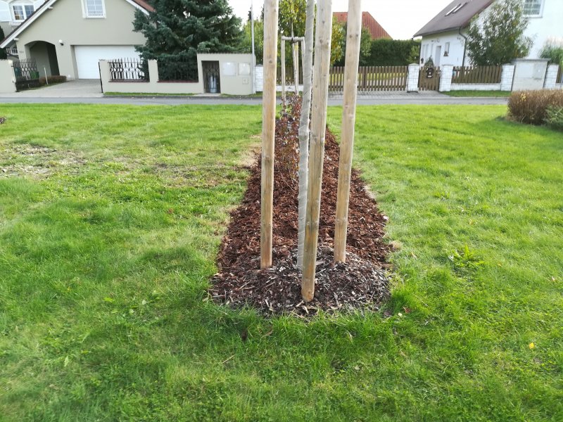 „Revitalizace zeleně ve Ždírci nad Doubravou – 2.etapa“