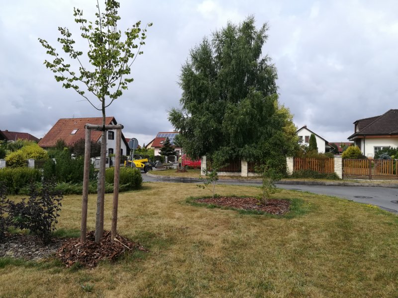 „Revitalizace zeleně ve Ždírci nad Doubravou – 2.etapa“