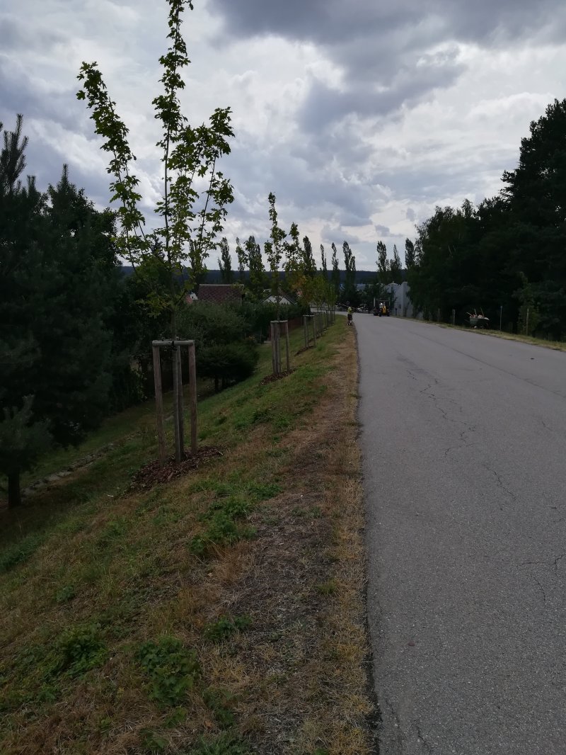 „Revitalizace zeleně ve Ždírci nad Doubravou – 2.etapa“