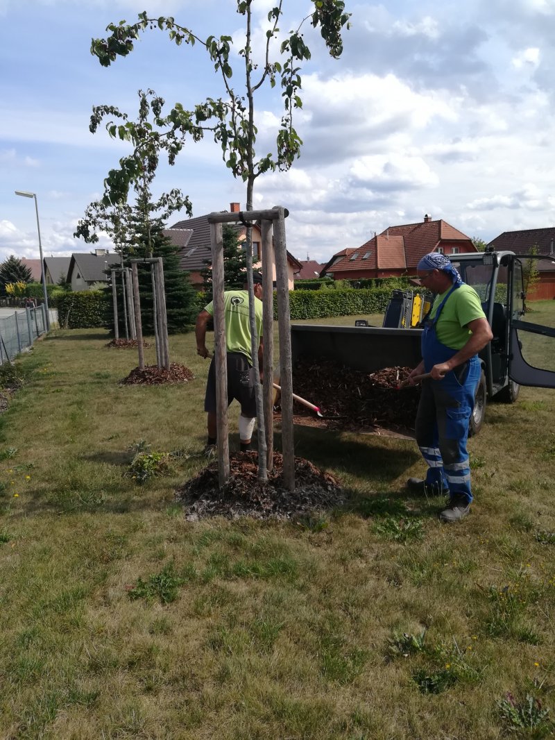 „Revitalizace zeleně ve Ždírci nad Doubravou – 2.etapa“