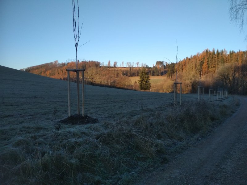 „Výsadba zeleně v mikroregionu Policko II“