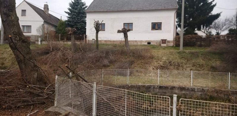 „Ozelenění návsi v Hořenicích“