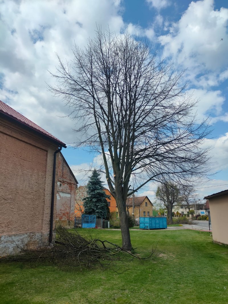 „Ozelenění návsi v Hořenicích“